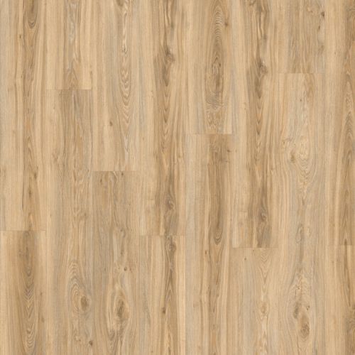 Moduleo PVC lijm Blackjack Oak 22220