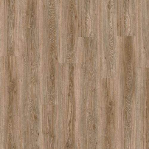 Moduleo PVC lijm Blackjack Oak 22229