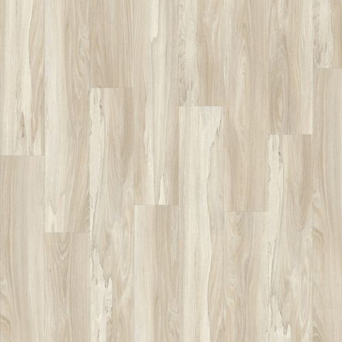 Moduleo PVC lijm Marsh Wood 22248