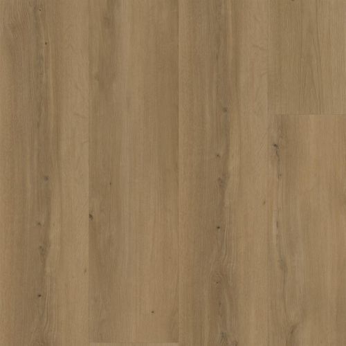 Ambiant PVC Silent Rigid Click - Espero dark Oak 6621291219