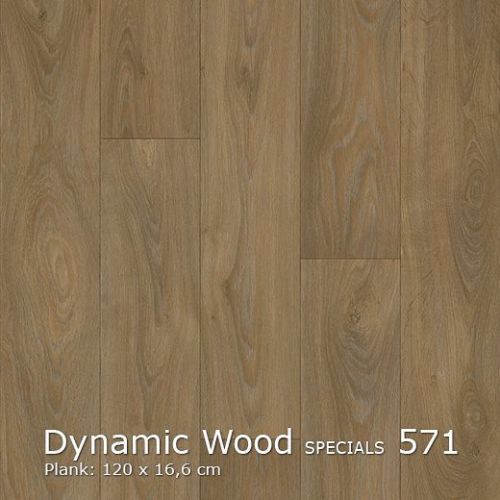 Interfloor vinyl Dynamic Wood Specials 571