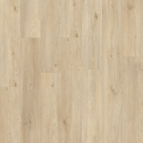 Moduleo PVC lijm Galtymore Oak 86237