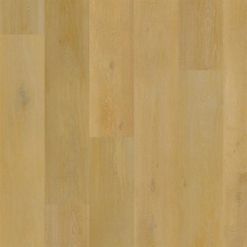 Aspecta IC55 Onega Plank XL 8476539X